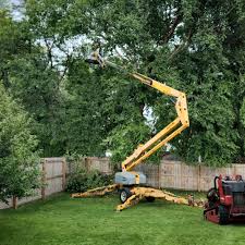 Best Lawn Maintenance Plans  in Stewartville, AL