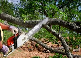Best Soil Testing and Treatment  in Stewartville, AL
