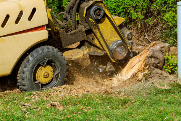 Grass Overseeding in Stewartville, AL