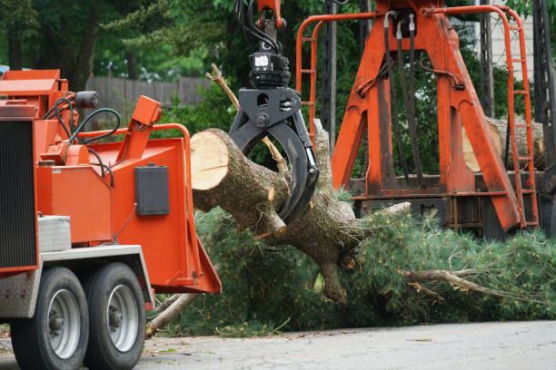 Best Lawn Pest Prevention  in Stewartville, AL